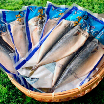 [제주도 직송] 손질 순살 자반고등어 개별포장 필렛 제철 환절기 면역력 명절선물 포장, [선택1] 자반 400g (2미) x 5팩