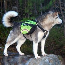 강아지 산책 백팩 가방 간식통 짐가방 외출 배낭 M, 레드M