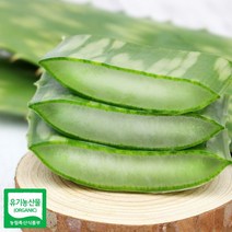 알로에 사포니라아 생잎 1키로, 1