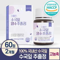 수국잎 열수 추출물 정 100% 식약처인증 HACCP 뉴트라업, 1박스(2개월)