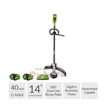그린웍스 G-MAX 40V 충전 예초기 (투팩/2팩) 충전식 세트, 40V 예초기(투팩)-급속