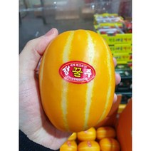 산지직송 고당도 정품 가정용 겨울 성주 참외 혼합과 2.5kg 5kg, 5kg(12~16kg)