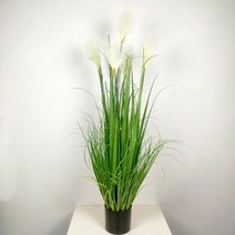핑크뮬리 인조갈대 억새 강아지풀 그라스 조화나무 팜파스 그라스(화이트)(120cm), 상세페이지 참조