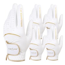 카시야 세탁가능 프리미엄 골든라벨 골프장갑 5장, 22호5장