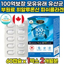 식약처 식약청 인증 인정 락토바실러스 락토바실루스 가세리 루테리 신바이오틱스 프리 프로 바이오틱스 데일리플렌 100억 모유 유래 유산균 캡슐 30대 40대 50대 60대 남성 여성, 60캡슐 X 1박스 (2개월분)