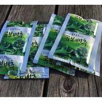 농장에서 직접 생산한 농산물로 만든/자연과 해풍/동진농장이 빚어낸 명품 / 자연재배 야생 곰보 배추 다린즙 100ml x 30봉