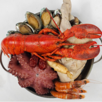 바로 끓여먹는 해물 해신탕 전복 삼계탕 몸보신 밀키트 4종 초복 중복 말복 음식 재료 닭 전복 문어 새우 랍스터 약재 해물 해천탕 간편조리 세트, 4. 해물 해신탕 (4인분)