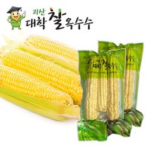 수확 후 바로삶은 괴산 대학 찰옥수수 12개3개씩포장
