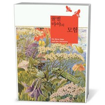 비룡소클래식- 꿀벌 마야의 모험