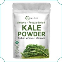 오가닉 케일 kale 동결건조 비건 파우더 분말 베지테리언 그린슈퍼푸드 454g