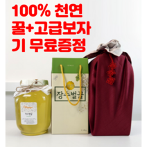 장수벌꿀 예천 소백산 진짜꿀 천연100% 보자기증정 아카시아꿀 2.4kg 대용량, 2개, 장수: 아카시아꿀2.4kg