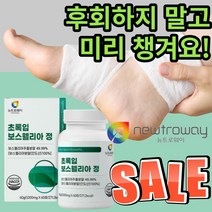 뉴트로웨이 초록입보스웰리아 뉴질랜드산 고함 량 양 고농축 보스웰실리아 보시웰리아 보스윌리아 보수엘라 추출 물 분말 보수엘리아 정 가성비 갓성비 관절 허리 어깨 척추 식 약 청 인정, 60정(1개월)