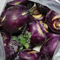 산정마을 제주산 햇 콜라비 10kg, 단품