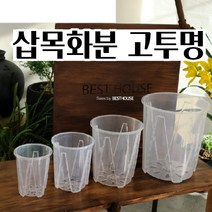 삽목화분 슬릿분 고투명 플라스틱 분갈이 공 빈 가벼운 화분 삽목용 구멍있는 사랑화분 알뜰한, 14cm