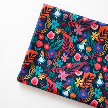 어룸 [디즈니원단] 앨리스(드림)