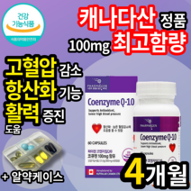 식약처 식약청 인증 인정캐나다 직수입 고함량 코엔자임 Q10 코엔자민 코임자임 고큐텐 코큐텐 코큐비 큐텐 큐10 코쿠텐 코큐10 항산화 피로 회복 고 혈압 도움 건강기능식품 영양제, 2개