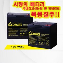 케어라인 전동휠체어 전동스쿠터 배터리 밧데리 휠체어, 75A, 2개