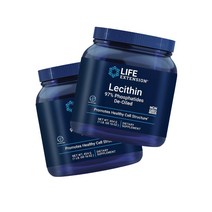 라이프 익스텐션 레시틴 파우더 16oz 454g [X2] Life Extension 인지질 콜린 이노시톨 고약사 약들약