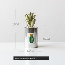 작은 화분 장식 모사 식물 다육 조화 거실 실내 테이블 장식 북유럽 그린 식 ins 풍 분경 선물, 실버철[대형]+문토끼귀