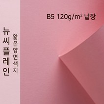 뉴씨플레인 종이문화 얇은 양면색지 120g B5 낱장 1매 No.32 카네이션핑크, 1장