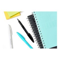 모나미 프러스펜S 1타 (12입) 플러스펜 수성펜, 화이트