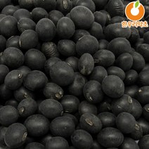 쥐눈이콩 약콩 500g 먹는법 효능 서목태, 약콩(쥐눈이콩)500g