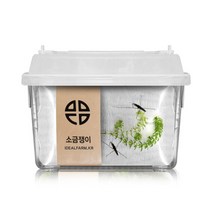 소금쟁이 관찰세트 자연과학 초등교과 수서곤충, 우리집댕댕이 1, 우리집댕댕이 본상품선택