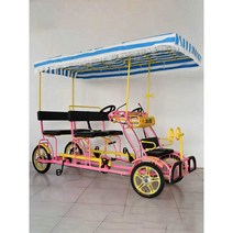 사륜 관광 자전거 2인 4인승 3인 다인 2인 페달 관광, 옵션 - 더블 행 로우그린