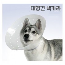 플라스틱 대형견 길이조절가능 동물병원전용 넥카라 중성화 초대형견, XL(20cm)