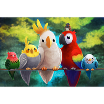 세진 DIY 보석십자수 3D 72가지 신제품 새로운 취미생활 보석 십자수 보석십자수, 34x44 화목한 앵무새들, 1세트