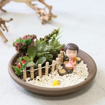 나만의 힐링 스팟 꿈꾸는 정원 다육 식물 테라리움 만들기 DIY 키트, 남자