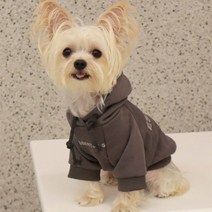 으샤 애완 옷 강아지 고양이 맨투맨 얇은 그레이 베이지, 어두운 회색 가을, XL 크기 (권장 8.5-12kg)