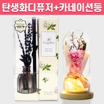 탄생화 디퓨저 선물 세트 7월 탄생화 라벤더 +카네이션 무드등 어버이날 부모님 엄마 생신선물 프리저브드 플라워 선생님 생일 집들이 선물 실내 디퓨저 실내 방향제 디퓨져, 자몽, 핑크, 500ml