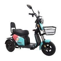 삼륜자전거 성인용3발자전거 어르신 전동 성인용 노인자전거 3륜자전거 새로운 소형 전기 집 숙녀는 미니 덮여 배터리 전기 세 바퀴를 픽업 및 드롭, 배터리 충전기 모터 컨트롤러가 없는 빈 차, 48V