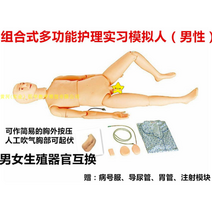 심폐소생술 연습 교육자료 인형 모형 모양 인공호흡, 생식기 교환 남성 간병인 + 가슴 기복