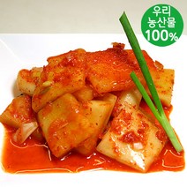 [담채원]학교급식납품업체 !국내산 김치들, 석박지 500g, 500g