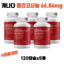 원데이코어 캐나다 폴리코사놀 66.84mg 120캡슐 5통 신세계백화점 1만원상품권 수량별증정