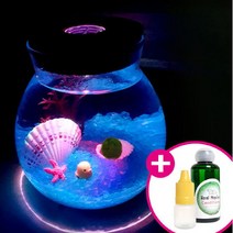 강군샵 [강군샵] 마리모밥 증정 LED어항 350ml-마리모 1cm 키트 세트, 선택완료