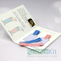 리트머스종이 만들기(4인용)-JSK