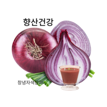 당뇨 고지혈증영양제 자색양파즙100포, 다이어트양파즙