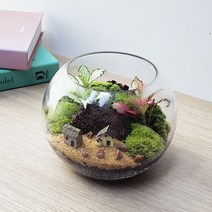 잎새몰 볼15 이끼 테라리움 키트 만들기 DIY 비바리움 (사은품: 핀셋 20~30cm 1개), 볼15 키트 + 핀셋 20~30cm