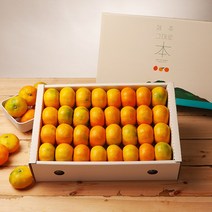 깨비농원 제주 하우스감귤 선물세트, 1box, 하우스귤 선물세트 5kg
