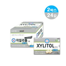 금연보조제품 무설탕 껌 자일리톨 그린 60 16g 12갑 2박스 (24년 8월) 당뇨환자 충치 치매 예방 약국 기능성 껌