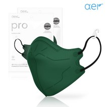 아에르 프로 방진 마스크 2급 KA100N, 50개, 그린