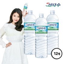 161065 삼다수 T 제주 삼다수 2L X 12병