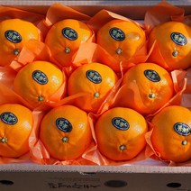 설명절과일선물 레드향 3kg 천혜향3kg 한라봉3kg(대과) 엣지있는 설명절과일선물, 천혜향 5kg(16~20수대과 선물용 )