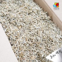 못난이 혼지리멸치 1.5kg 식당용, 1개