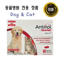 안티놀 래피드 관절영양제 90캡슐