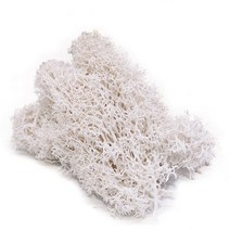 스칸디아 이끼 모스 액자 실내공기정화식물20g 인공 식물 영원한 생활 이끼 정원 홈 장식 벽 diy 꽃 재료, 07 white