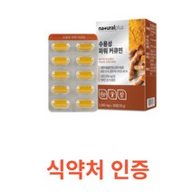 내츄럴플러스 - 수용성 파워 커큐민 1000mg x 30정 식약처 식약청 인정 인증 해썹 haccp 인도산 활력 강황 추출물분말 캡슐 말토덱스트린 치커리분말 히드록시, 30캡슐X19개